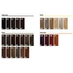 Lucens Permanent Hair Color Kit 4.20 Violetto