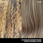 Redken Shades EQ Bonder Inside Demi-permanente haarkleuring - 010NB Caramel Cloud 60ml