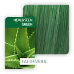 Wella Color Fresh Create 60ml