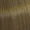 77/07. Blond Moyen Intense Naturel Marron