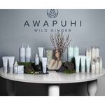 Paul Mitchell Awapuhi Finishing Spray 300ml