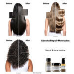 L'Oréal Professionnel Absolute Repair Molecular Bi-Phase Haar Olie 30ml