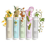 Paul Mitchell Clean Beauty Scalp Shampoo 250ml