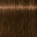 Schwarzkopf Professional Igora Royal Absolutes Coloration permanente 60ml 6-50 Blond Foncé Doré Naturel