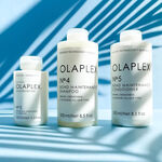 Olaplex N°.4 Shampooing Bond Maintenance 250ml