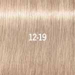 Schwarzkopf Professional Igora Royal High Lift 60ml 12-19