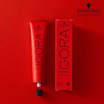 Schwarzkopf Professional Igora Royal Take Over 7-76 Blond Moyen Cuivré Chocolat 60ml