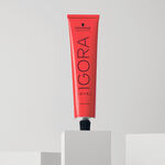 Schwarzkopf Professional Igora Royal Coloration Permanente 60ml 6-0