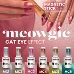 Andreia Professional Meowgic Cat Eye Effect Gel Poilsh - MC1 Argenté 10.5ml