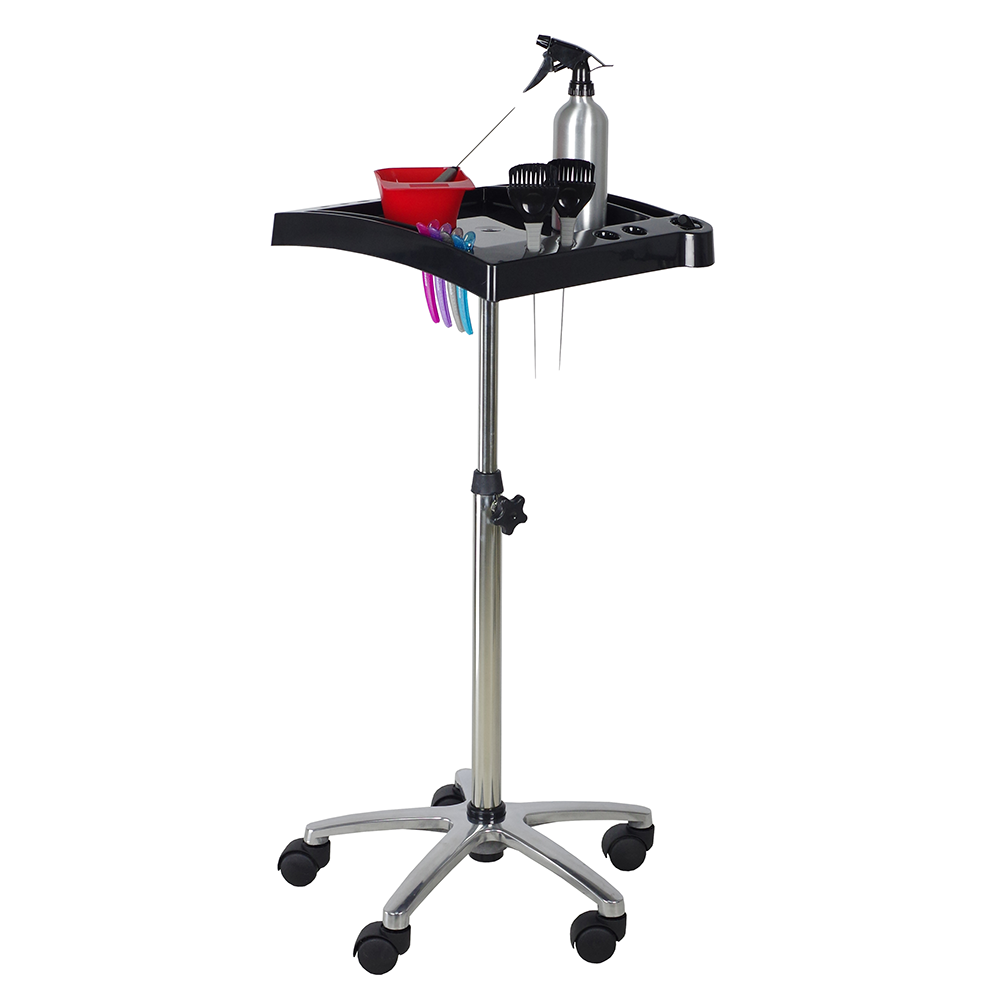 S-PRO Table de Travail Coloration Idaho