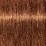 Schwarzkopf Professional Igora Royal Take Over 7-76 Blond Moyen Cuivré Chocolat 60ml