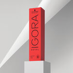 Schwarzkopf Professional Igora Royal Coloration Permanente 60ml 6-0