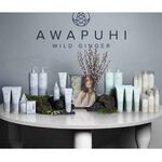 Paul Mitchell Awapuhi Anti Frizz Hairspray 313ml