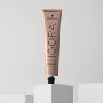 Schwarzkopf Professional Igora Royal Absolutes Coloration permanente 60ml 5-50 Châtain Clair Doré Naturel