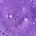 Unite Hair BLONDA Shampooing Violet D&eacute;jaunissant 236ml