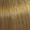 88/07. Blond Clair Intense Naturel Marron