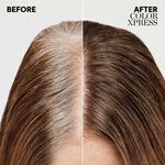 Wella Professionals Color Xpress – Vegan Xpress Touch-up extra lichtblond verhelderend 10/ 60 ml