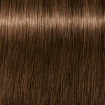 Schwarzkopf Professional Igora Royal Absolutes Coloration permanente 60ml 5-50 Châtain Clair Doré Naturel