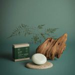 Paul Mitchell Tea Tree Speciale Shampoobar 79g