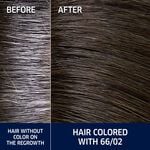 Wella Professionals Koleston Perfect Coloration Permanente 66/02 60ml