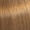 88/03 Blond Clair Intense Naturel Doré