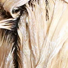 Blondering