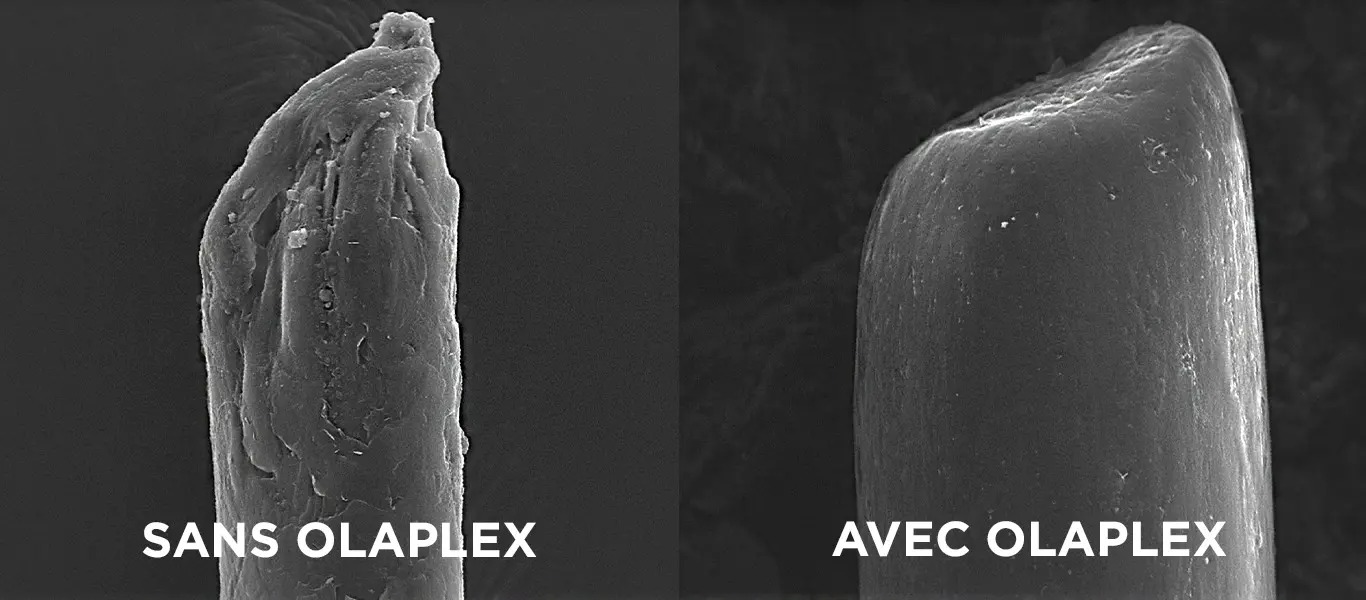 Sans olaplex, avec olaplex