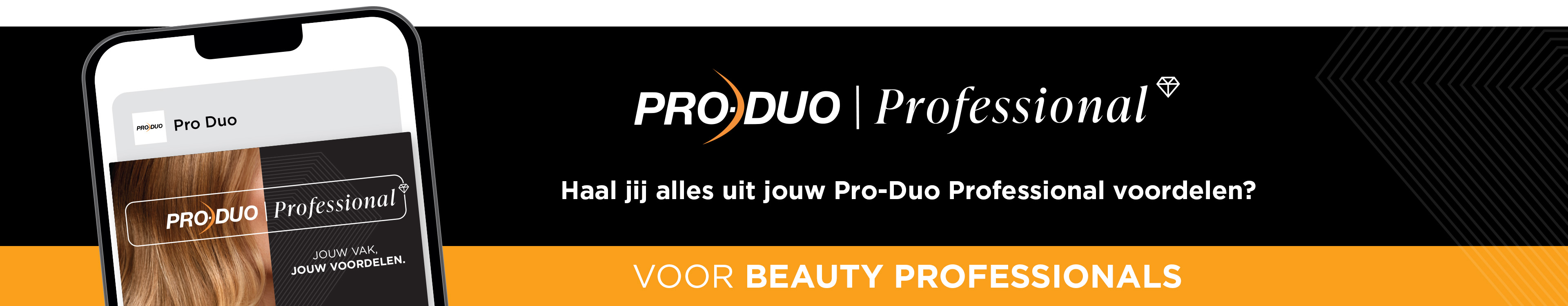 Pro Duo Professional